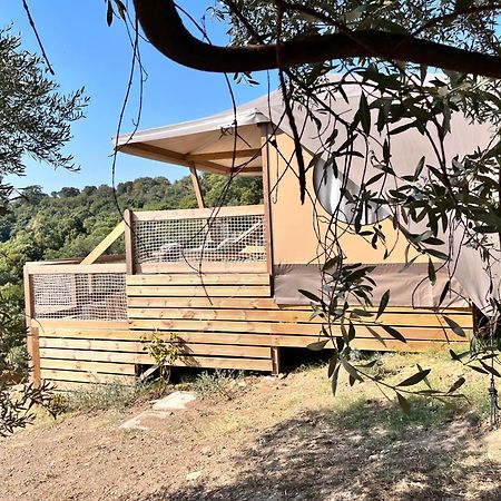 Hotel Glamping - Il Giardino Di San Giorgio "Armida" Montorgiali Esterno foto